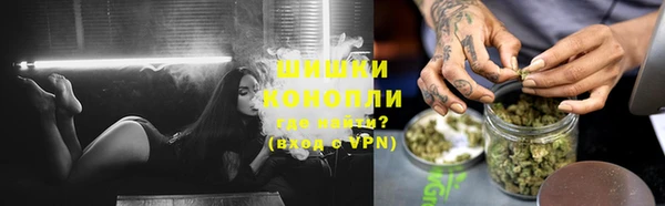 гидропоника Гусиноозёрск