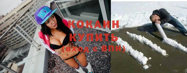 гидропоника Гусиноозёрск